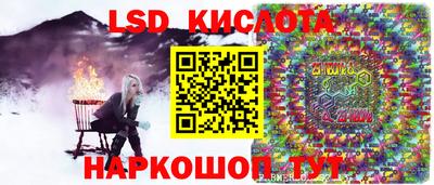 прущие грибы Новоалександровск