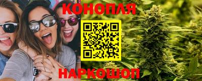 мдпв Новоалтайск
