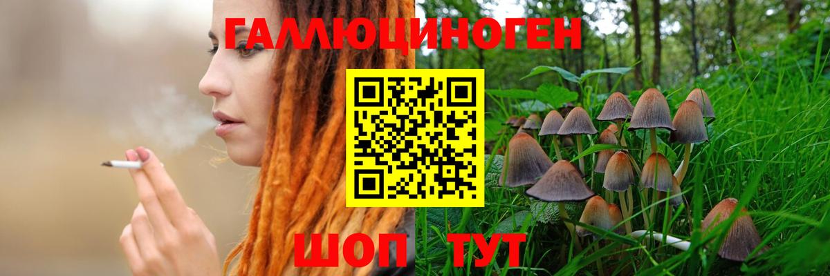сколько стоит  Псилоцибиновые грибы Psilocybine cubensis  Вход с VPN  Благодарный  Псилоцибиновые грибы мицелий 